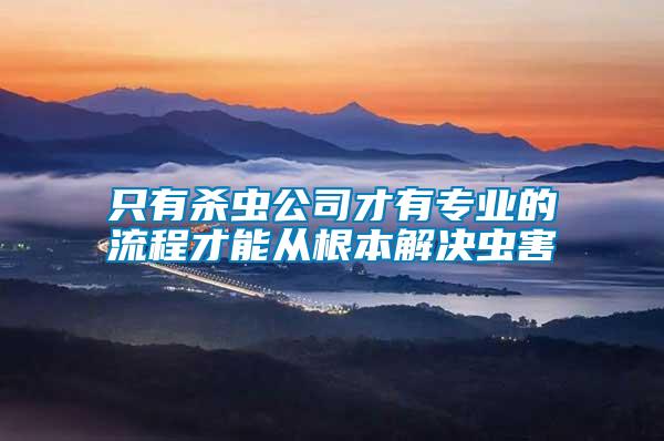 只有殺蟲公司才有專業的流程才能從根本解決蟲害