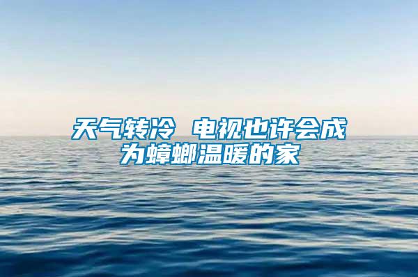 天氣轉冷 電視也許會成為蟑螂溫暖的家