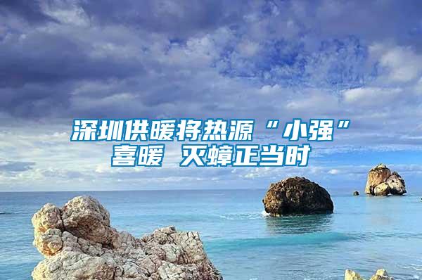 深圳供暖將熱源“小強”喜暖 滅蟑正當時