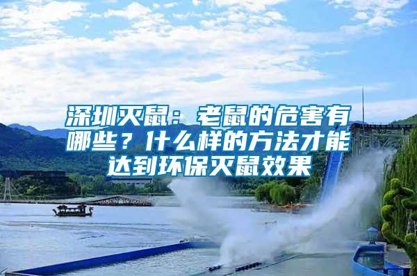 深圳滅鼠：老鼠的危害有哪些？什么樣的方法才能達到環保滅鼠效果