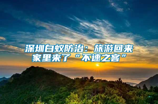 深圳白蟻防治：旅游回來家里來了“不速之客”