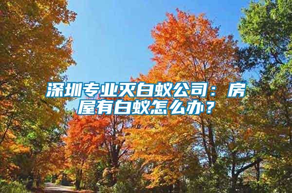 深圳專業滅白蟻公司：房屋有白蟻怎么辦？