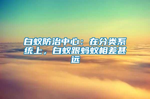 白蟻防治中心：在分類系統上，白蟻跟螞蟻相差甚遠