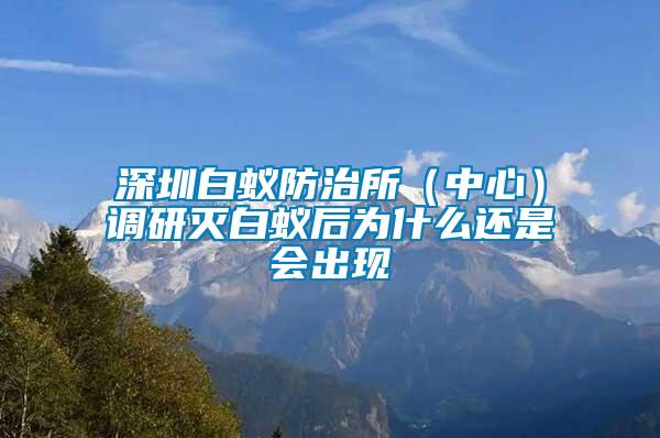 深圳白蟻防治所（中心）調研滅白蟻后為什么還是會出現