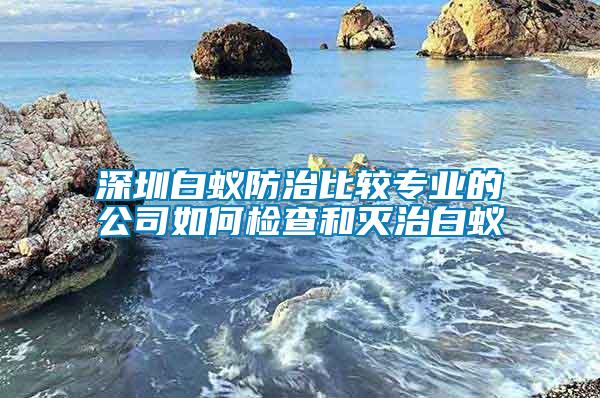 深圳白蟻防治比較專業的公司如何檢查和滅治白蟻