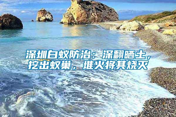 深圳白蟻防治：深翻曬土，挖出蟻巢，堆火將其燒滅