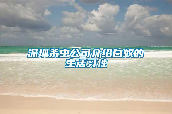 深圳殺蟲公司介紹白蟻的生活習性