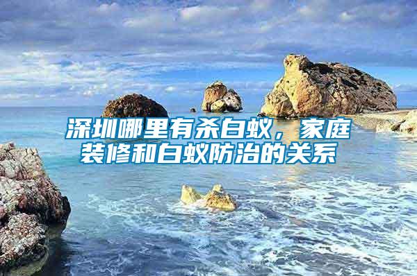 深圳哪里有殺白蟻，家庭裝修和白蟻防治的關系