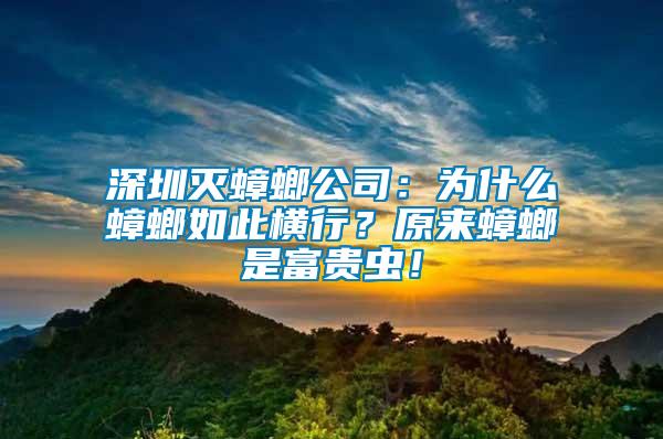 深圳滅蟑螂公司：為什么蟑螂如此橫行？原來蟑螂是富貴蟲！