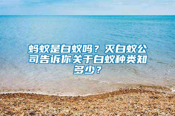 螞蟻是白蟻嗎？滅白蟻公司告訴你關于白蟻種類知多少？