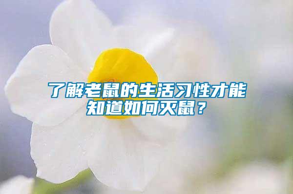 了解老鼠的生活習性才能知道如何滅鼠？