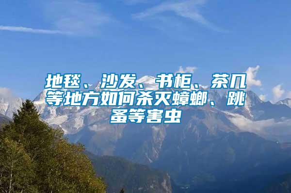 地毯、沙發、書柜、茶幾等地方如何殺滅蟑螂、跳蚤等害蟲