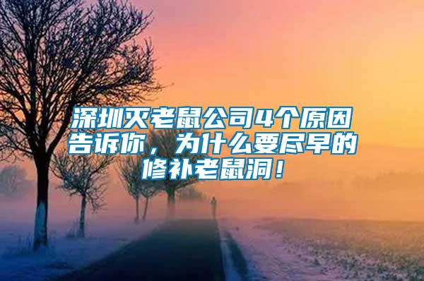 深圳滅老鼠公司4個原因告訴你，為什么要盡早的修補老鼠洞！