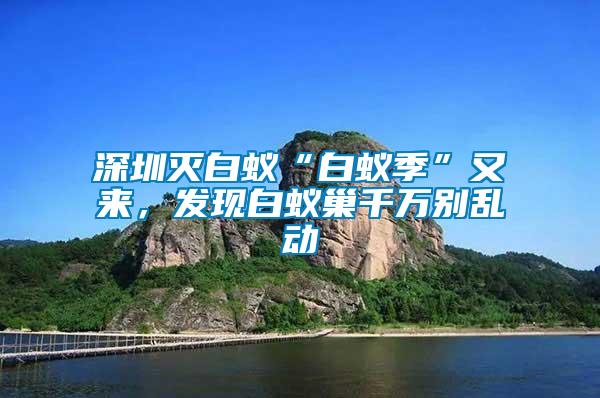 深圳滅白蟻“白蟻季”又來，發現白蟻巢千萬別亂動