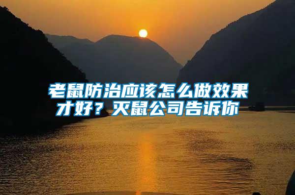 老鼠防治應該怎么做效果才好？滅鼠公司告訴你