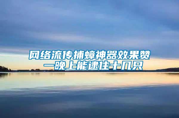 網絡流傳捕蟑神器效果贊 一晚上能逮住十幾只