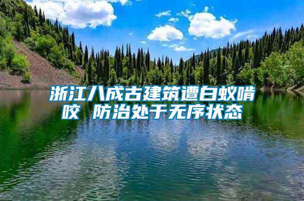 浙江八成古建筑遭白蟻啃咬 防治處于無序狀態