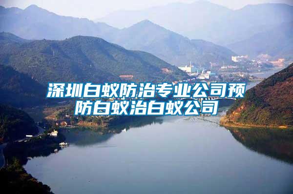 深圳白蟻防治專業公司預防白蟻治白蟻公司