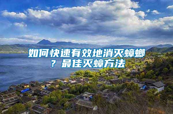 如何快速有效地消滅蟑螂？最佳滅蟑方法