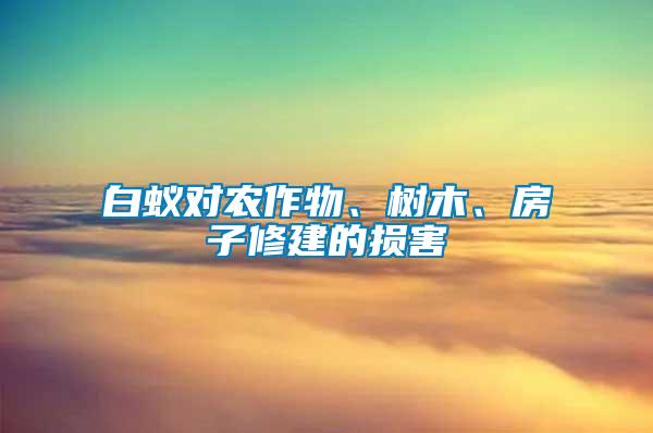 白蟻對農作物、樹木、房子修建的損害