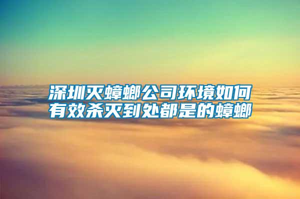 深圳滅蟑螂公司環境如何有效殺滅到處都是的蟑螂