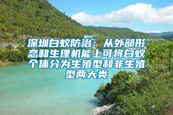 深圳白蟻防治：從外部形態和生理機能上可將白蟻個體分為生殖型和非生殖型兩大類