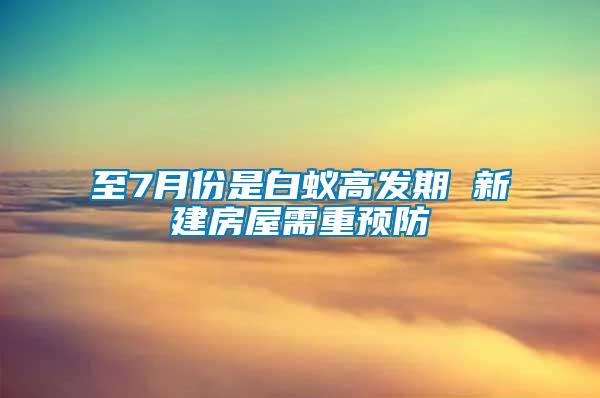 至7月份是白蟻高發期 新建房屋需重預防