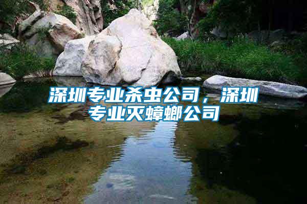 深圳專業殺蟲公司，深圳專業滅蟑螂公司