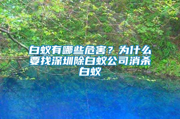 白蟻有哪些危害？為什么要找深圳除白蟻公司消殺白蟻