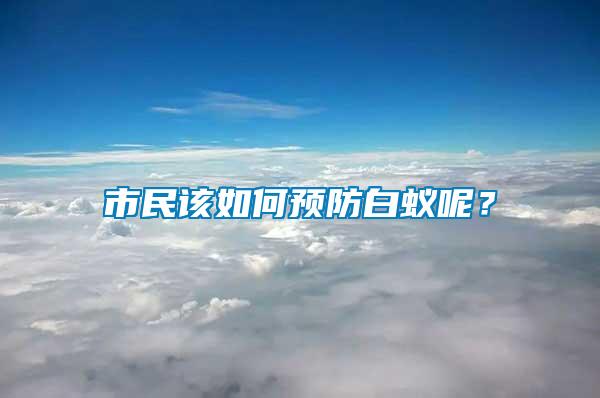 市民該如何預防白蟻呢？