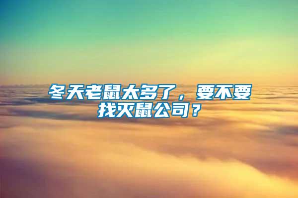 冬天老鼠太多了，要不要找滅鼠公司？