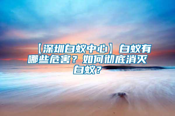 【深圳白蟻中心】白蟻有哪些危害？如何徹底消滅白蟻？