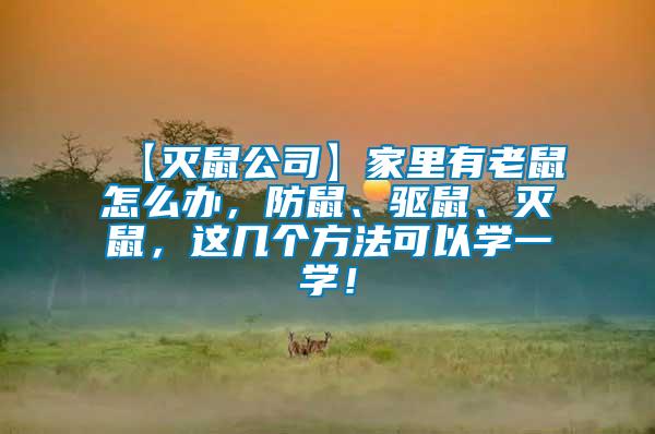 【滅鼠公司】家里有老鼠怎么辦，防鼠、驅鼠、滅鼠，這幾個方法可以學一學！