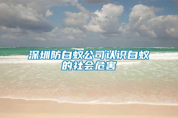 深圳防白蟻公司認識白蟻的社會危害