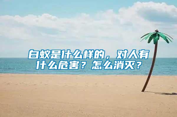 白蟻是什么樣的，對人有什么危害？怎么消滅？