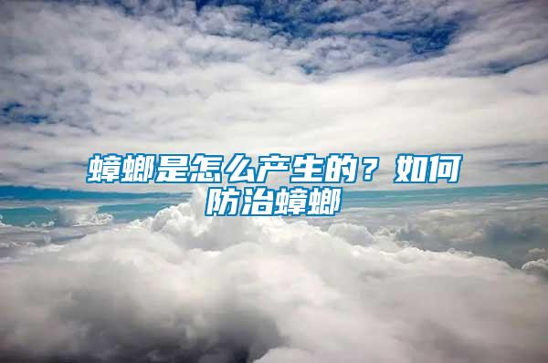 蟑螂是怎么產生的？如何防治蟑螂