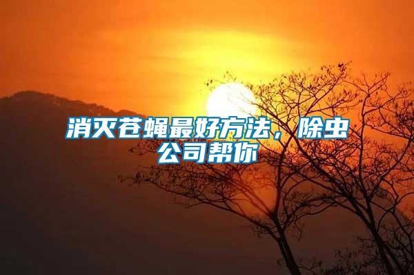 消滅蒼蠅最好方法，除蟲公司幫你