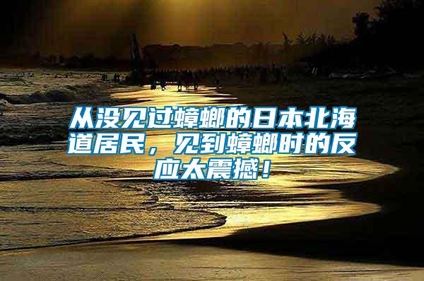 從沒見過蟑螂的日本北海道居民，見到蟑螂時的反應太震撼！