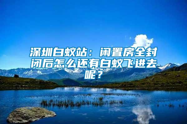 深圳白蟻站：閑置房全封閉后怎么還有白蟻飛進去呢？