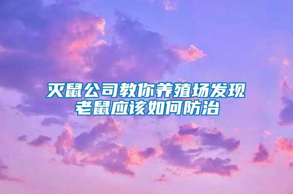 滅鼠公司教你養殖場發現老鼠應該如何防治