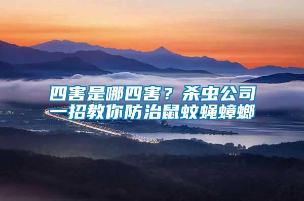 四害是哪四害？殺蟲公司一招教你防治鼠蚊蠅蟑螂