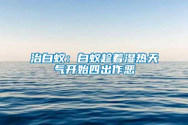 治白蟻：白蟻趁著濕熱天氣開始四出作惡