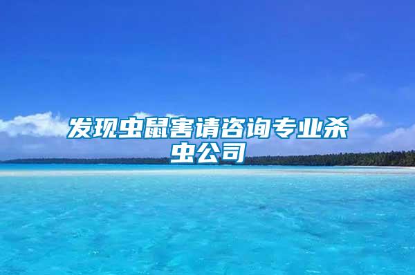 發現蟲鼠害請咨詢專業殺蟲公司