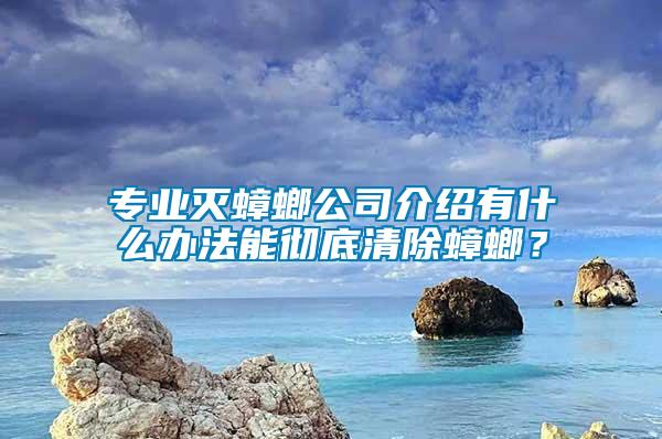 專業滅蟑螂公司介紹有什么辦法能徹底清除蟑螂？