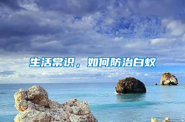 生活常識，如何防治白蟻