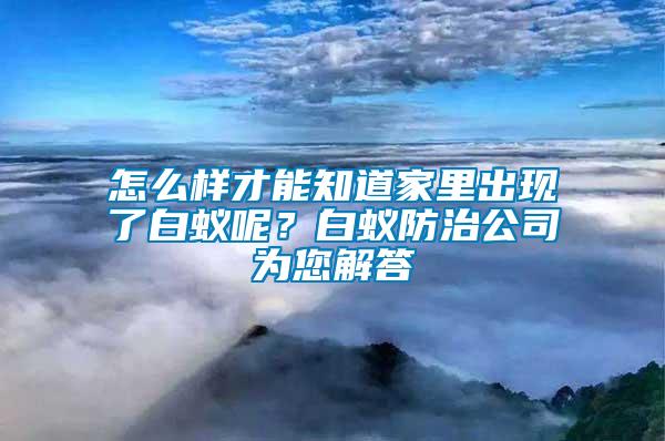 怎么樣才能知道家里出現了白蟻呢？白蟻防治公司為您解答