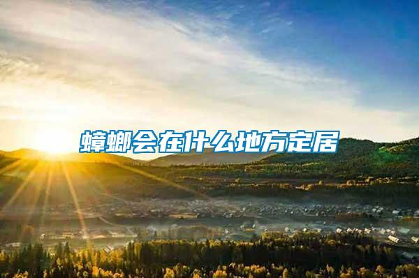 蟑螂會在什么地方定居