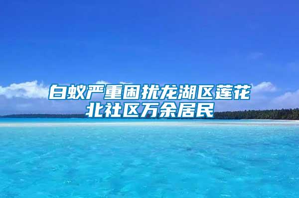 白蟻嚴重困擾龍湖區蓮花北社區萬余居民