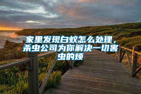 家里發現白蟻怎么處理，殺蟲公司為你解決一切害蟲的煩