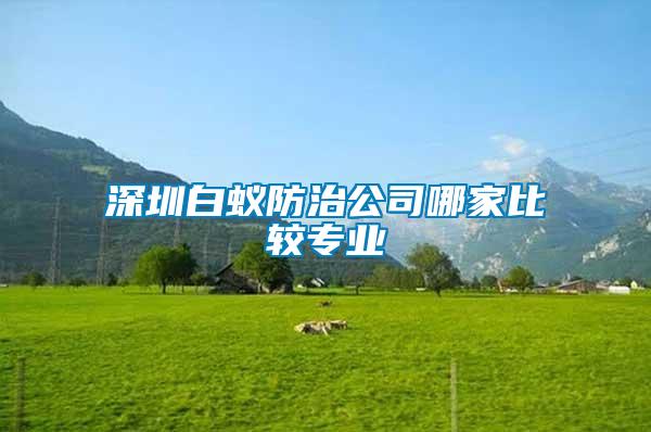 深圳白蟻防治公司哪家比較專業